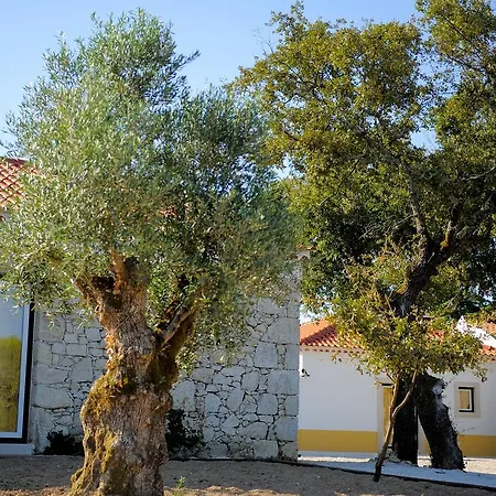 Casa Rendufas- Com Figos * Rendufas da Estrada