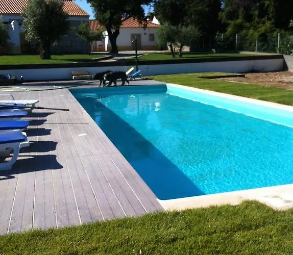 Casa Rendufas- Com Figos * Rendufas da Estrada