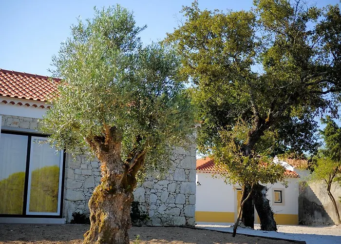 Casa Rendufas- Com Figos * Rendufas da Estrada